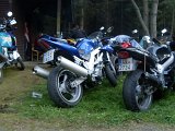 2010-09-11 07.12.37SDC10284